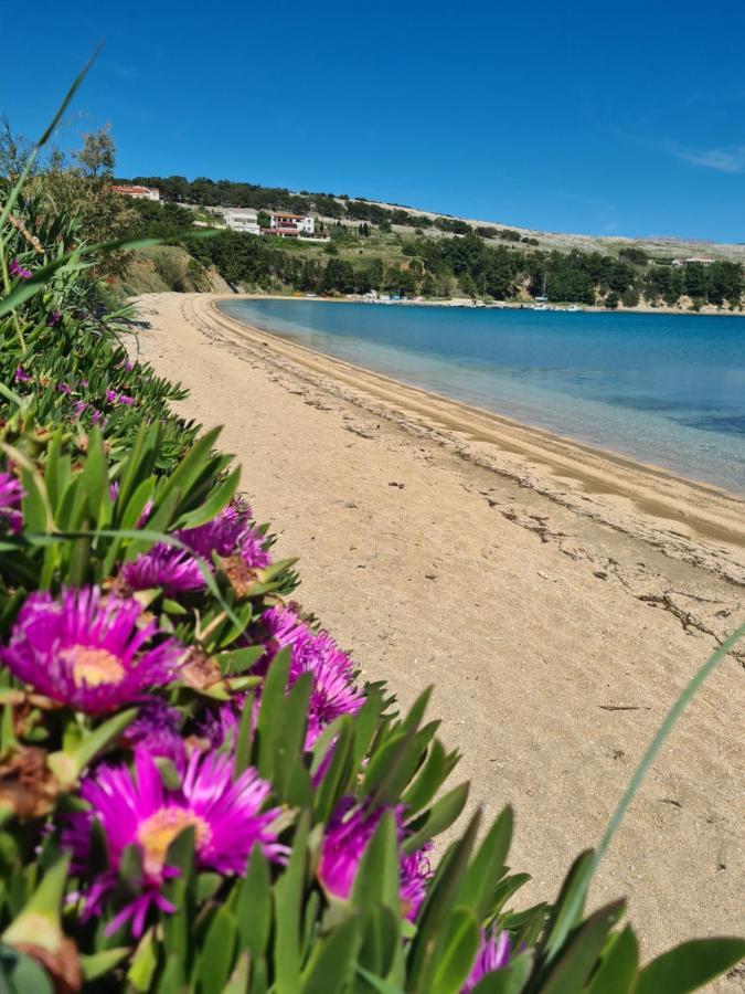 Apartments Simurina Влашичи Экстерьер фото